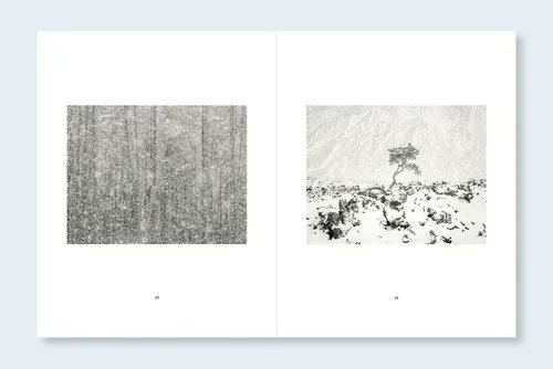 Beyond Words Bookshop tweet media