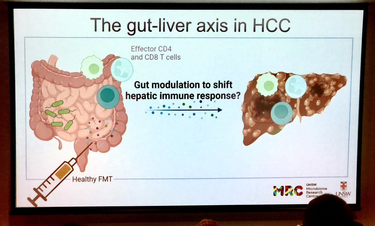 I normally find it hard to understand basic science 🧪 presentations but this has absolutely blown 🤯 my mind! Well done Dr Shen from @AmanyZekry’s lab #AGW2023 #LiverTwitter @emadelomar @JasonBehary