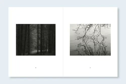 Beyond Words Bookshop tweet media