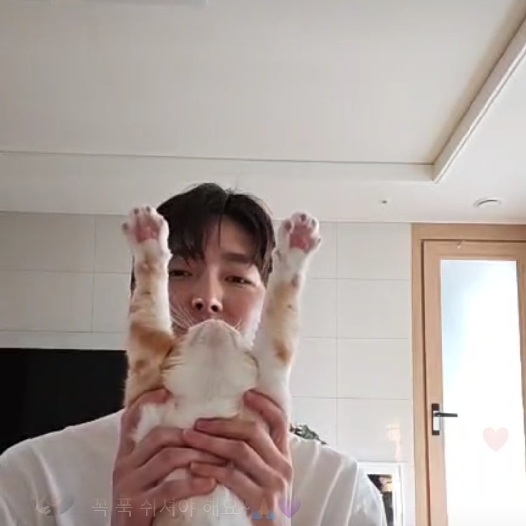 sepgoose's tweet photo. @SF9official #HURU #PPANG
Cmt: how heavy is ppang?
๐ฆ: (to ppang) how heavy r u.. Around 7-8 I think?
@SF9official #SF9 #ZUHO https://t.co/nbMuD9ZpCE