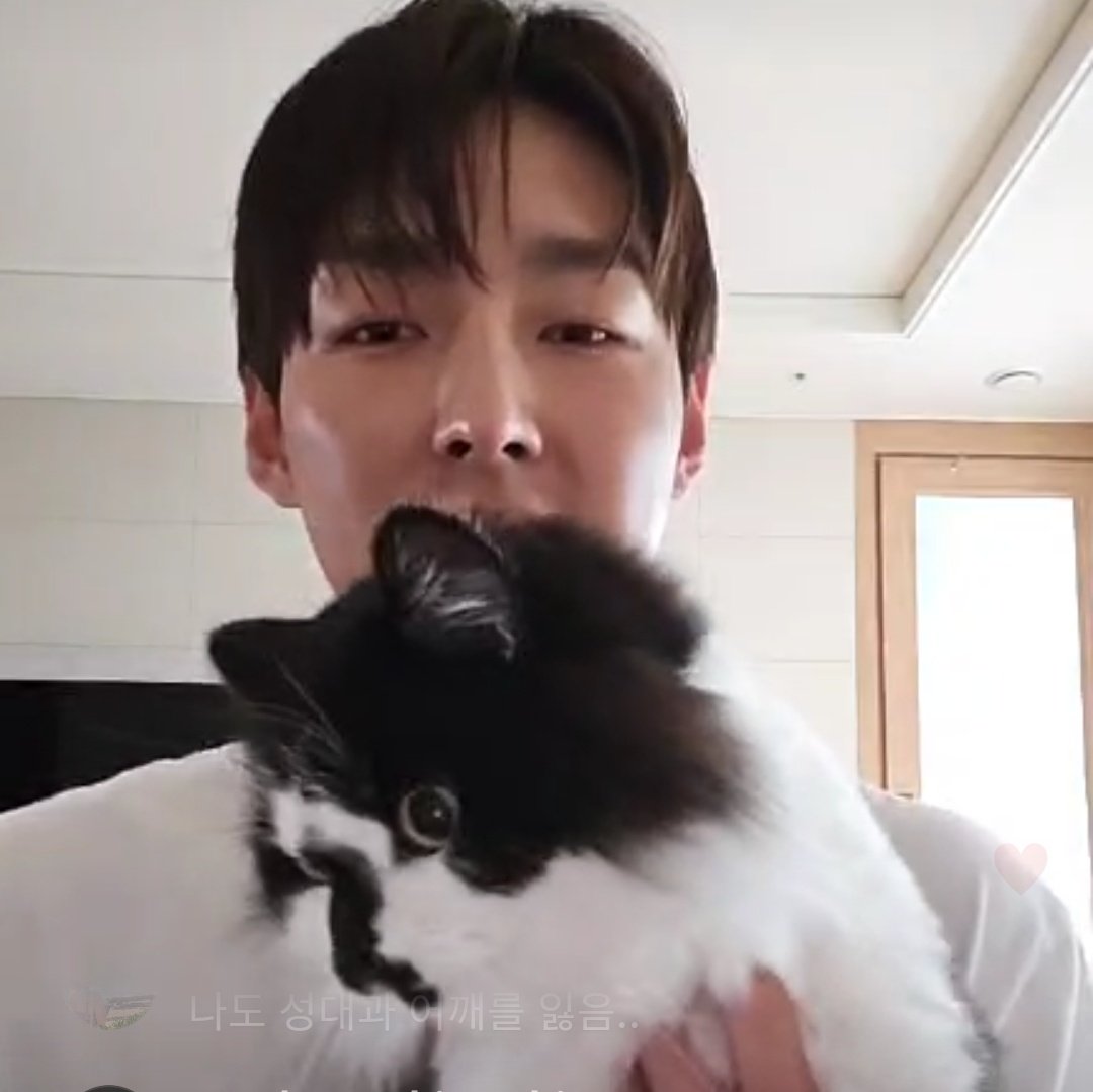sepgoose's tweet photo. @SF9official #HURU #PPANG
Cmt: how heavy is ppang?
๐ฆ: (to ppang) how heavy r u.. Around 7-8 I think?
@SF9official #SF9 #ZUHO https://t.co/nbMuD9ZpCE