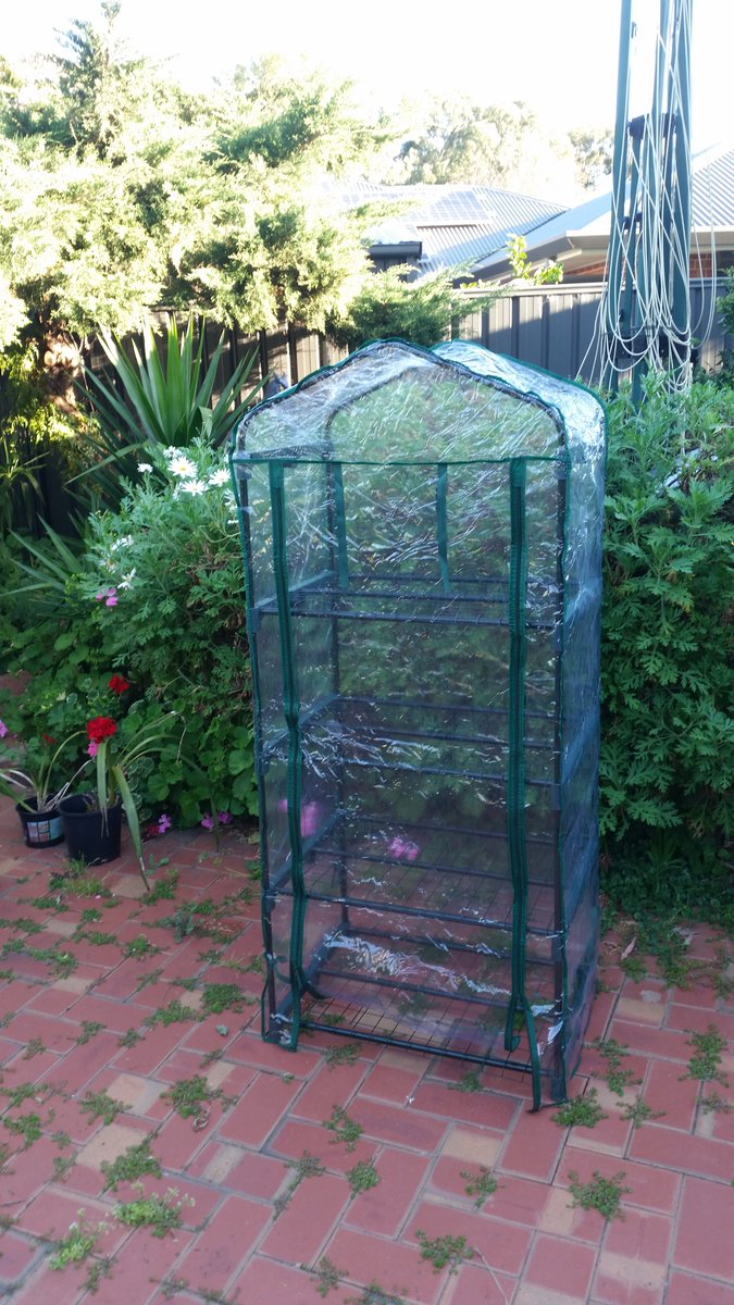 Nice lil Arvo project building this.  Now I can start my outdoor seedlings without the damm rain over watering them!! 😊Time &amp; $$ well spent Id say.
#cannabisgrower