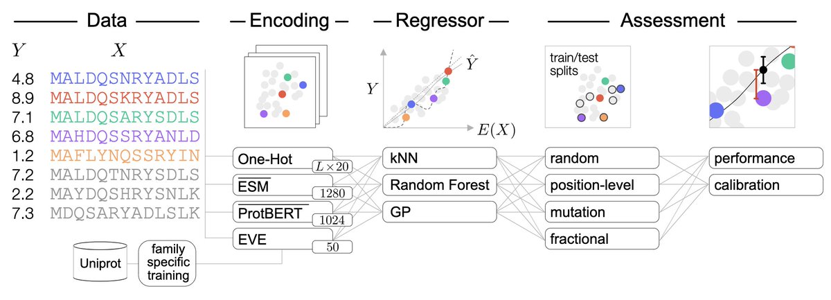 "Assessing the performance of protein regression models" has been updated

A pretty comprehensive study of different encoding and regression schemes for protein sequence-based tasks

biorxiv.org/content/10.110…