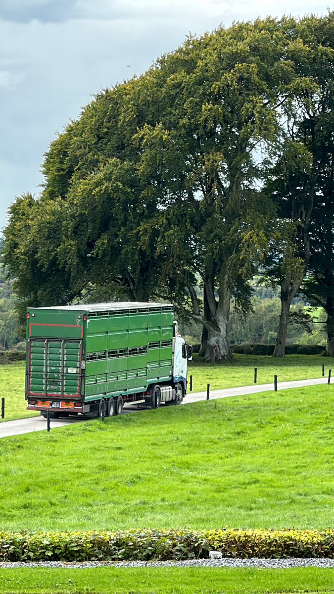 David Clarke tweet media