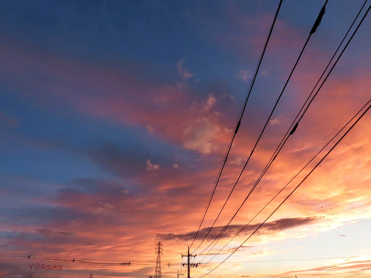 yumeasutw's tweet photo. 盛大に焼けました🌆

お疲れ様です🏁
秋の気配を感じる #夕暮れ
日の入り後
刻々と深まる夕焼け色🟥

#夕空から目が離せない
#空の名前
#天気の図鑑 #雲の超図鑑 #雲友の会
#夕空 #夕焼け #鉄塔 #電柱 #電線
#マジックアワー #ゴールデンアワー #放射状雲 #sunset
#a2023  #a0903 #a202309 #a2023092 https://t.co/t9Vetj8u2H