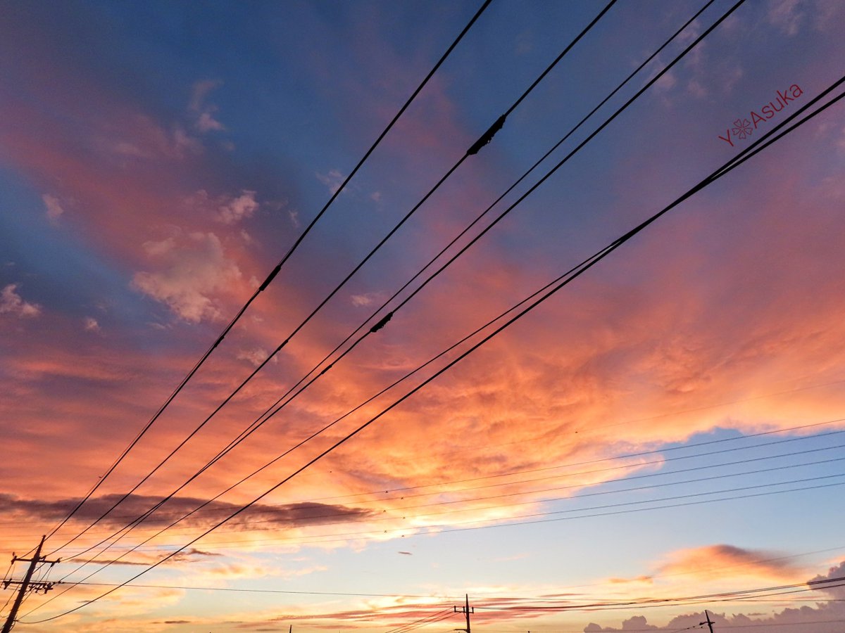 yumeasutw's tweet photo. 盛大に焼けました🌆

お疲れ様です🏁
秋の気配を感じる #夕暮れ
日の入り後
刻々と深まる夕焼け色🟥

#夕空から目が離せない
#空の名前
#天気の図鑑 #雲の超図鑑 #雲友の会
#夕空 #夕焼け #鉄塔 #電柱 #電線
#マジックアワー #ゴールデンアワー #放射状雲 #sunset
#a2023  #a0903 #a202309 #a2023092 https://t.co/t9Vetj8u2H