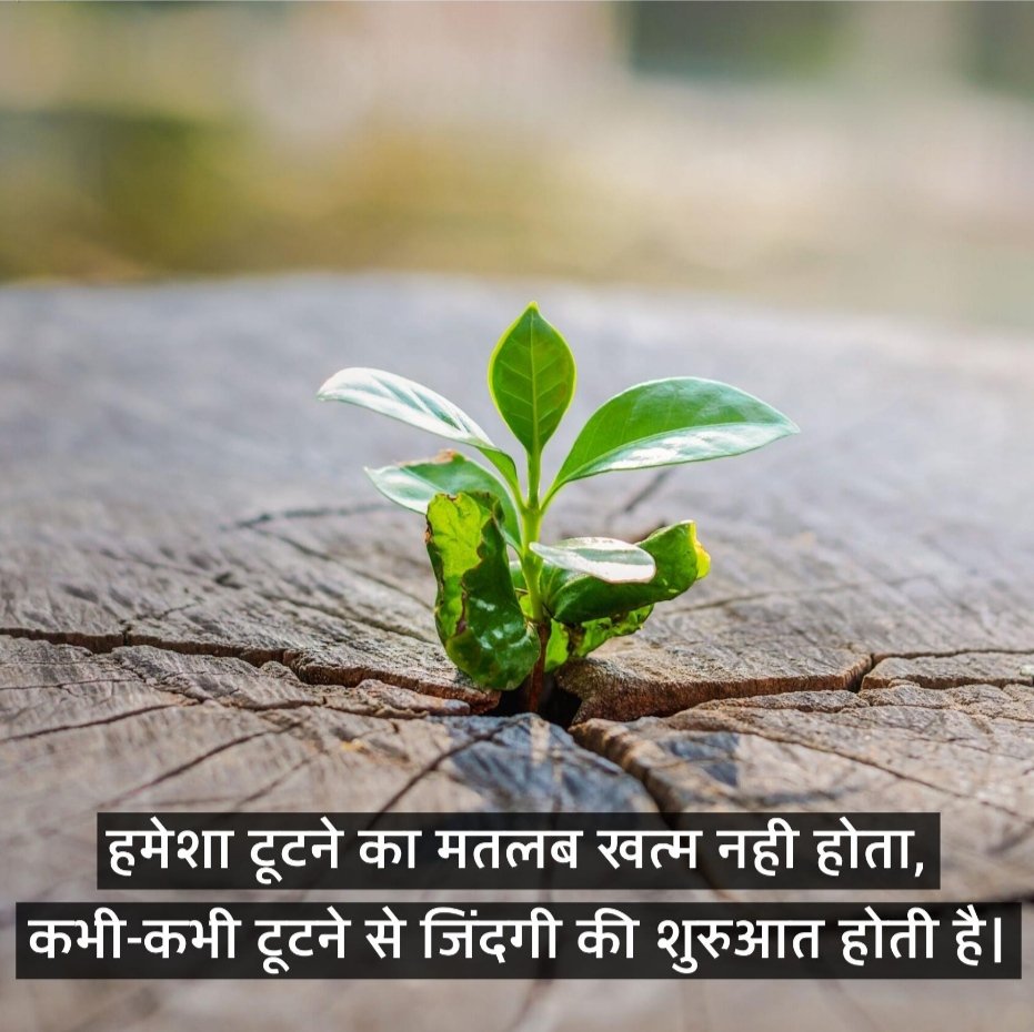 AjayMar15458873's tweet photo. बस ये दिक्कत है भूलने में उसे,
उसके बदले में किसको याद करे..
अबकी बार सिर्फ #0ps वाली सरकार
#Votefor0pS
#VoteforOPS @narendramodi
@vijaykbandhu @Aamitabh2 @RahulGandhi @yadavakhilesh @ravishndtv @priyankagandhi https://t.co/QwA3JpmC4w