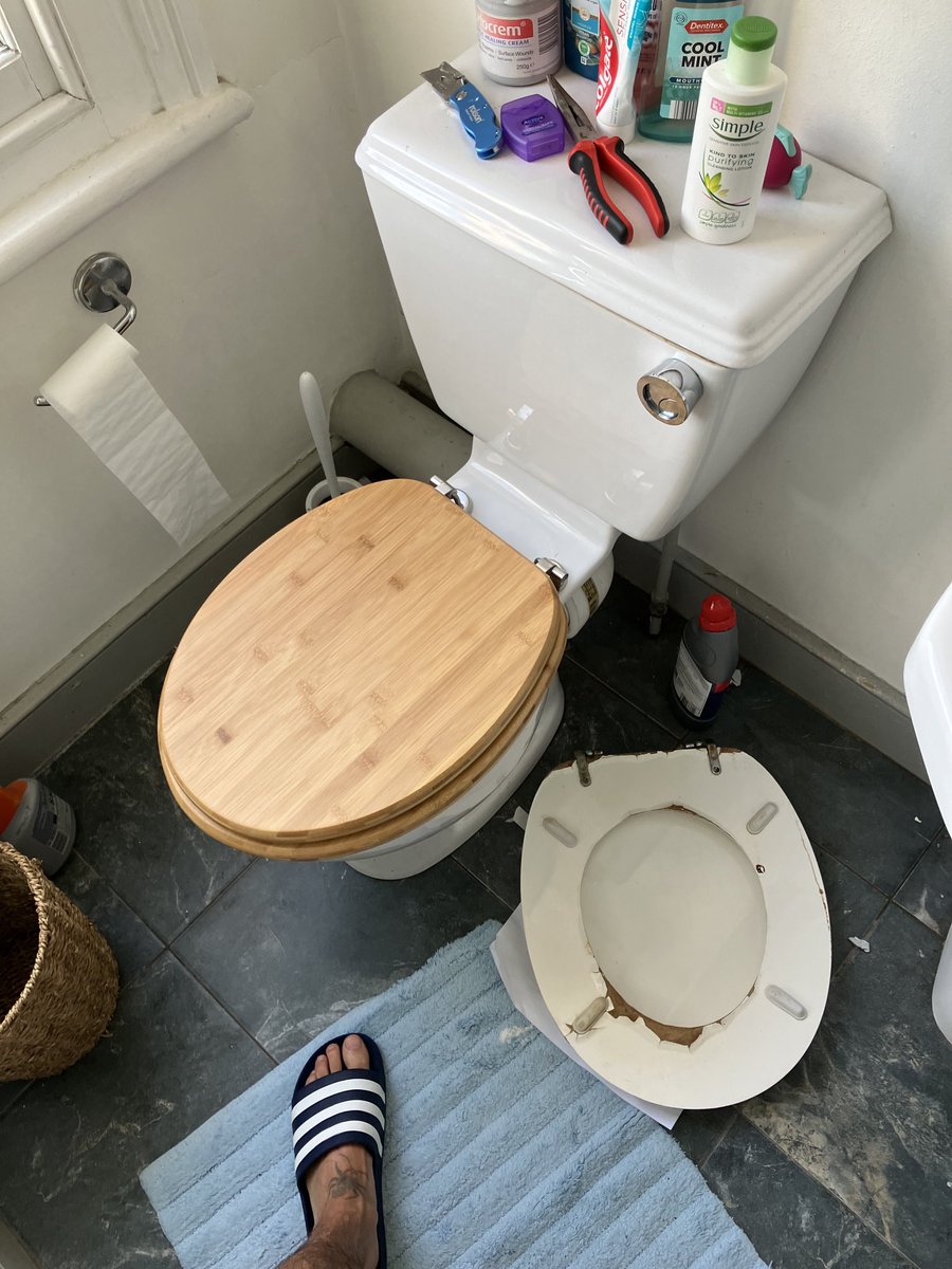 TheFilaments's tweet image. This morning,I’ve upgraded the loo seat to a premium model for myself and my family to enjoy. Can any readers top that? #punkrock #weekends #oioitoilets