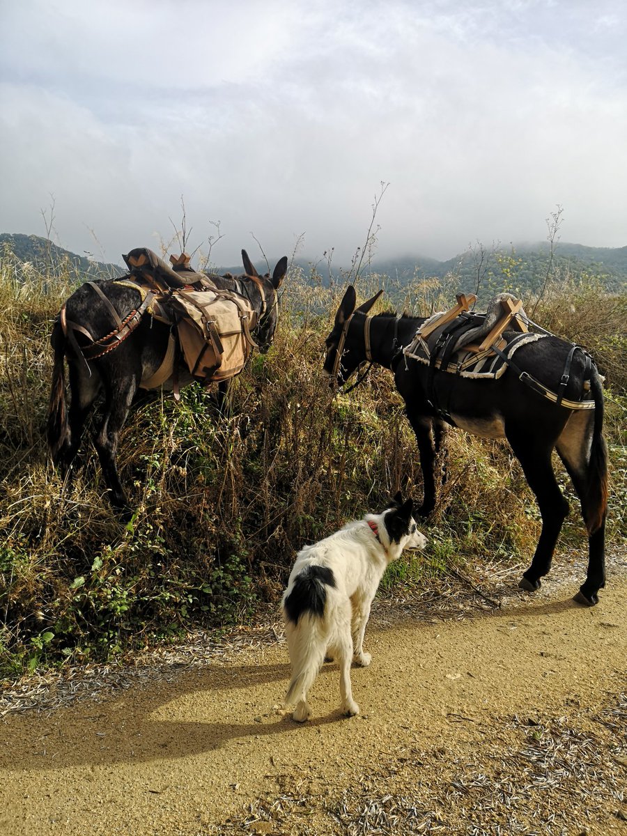 A punt de diumenge. Bon dia!