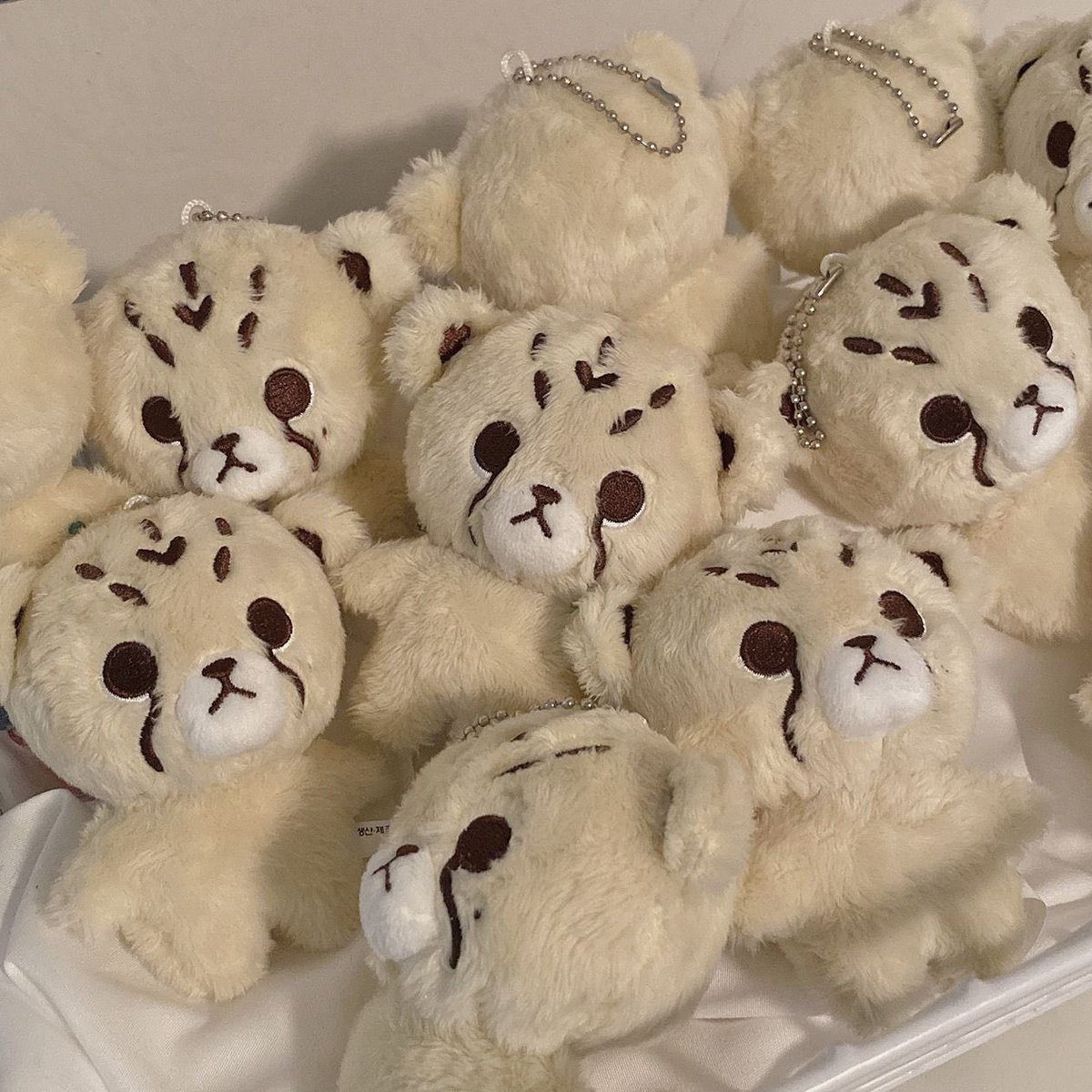 128area's tweet photo. wts / wto cheetah lee 10cm 
udah otw ina, eta 2-4 weeks 
dm for price! dibawah 300
masih brand new &amp; sealed
(pics not mine ctto) https://t.co/4Yhe8BCPMH