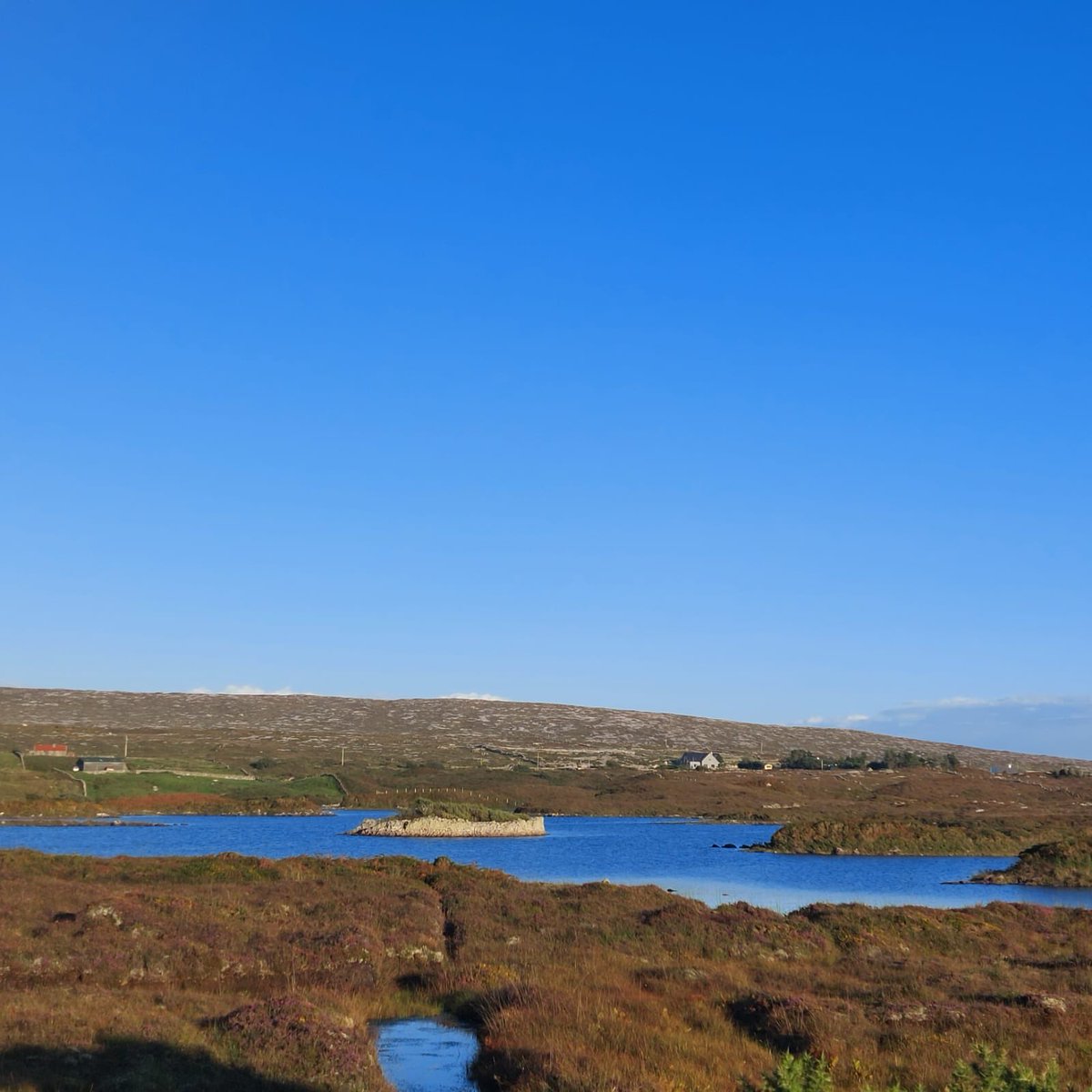 CarnaWalking's tweet photo. Lovely walks to Loch Scainnive, Feenish Island, during Carna Walking Festival. Seanchas , scéalta agus comhludar.Moyrus Loop walk today . https://t.co/S059x0OAda