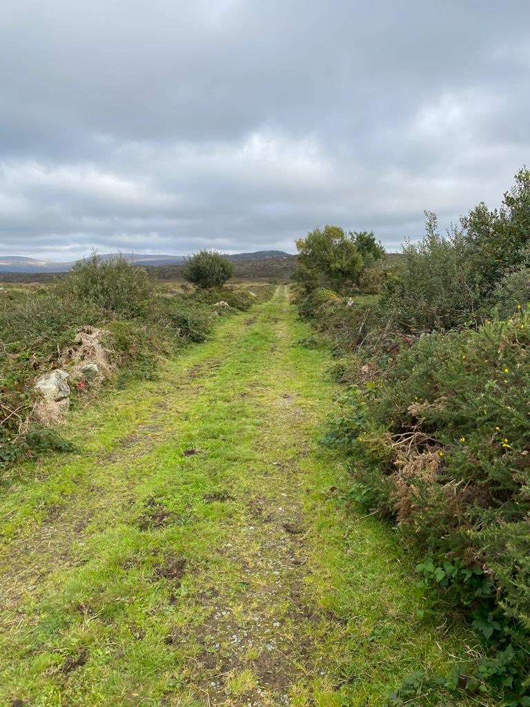 CarnaWalking's tweet photo. Lovely walks to Loch Scainnive, Feenish Island, during Carna Walking Festival. Seanchas , scéalta agus comhludar.Moyrus Loop walk today . https://t.co/S059x0OAda