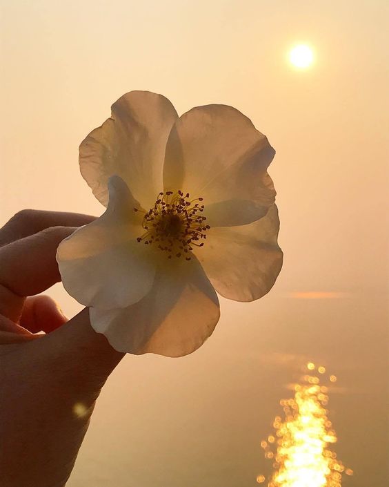 스스로 불행하다고 생각하는 자는 불행하다. - 세네카