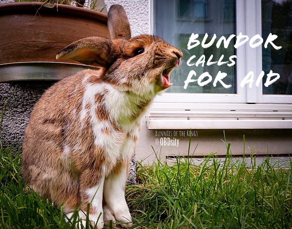 If anyone followd my page on FB they might've read the latest page - this morning I found the access to my Page seized, and I was completely removed from Admin by a Hacker. They got pissed I didn't give them my Payout info for Monetizing. I need some help <a href="/Meta/">Meta</a>