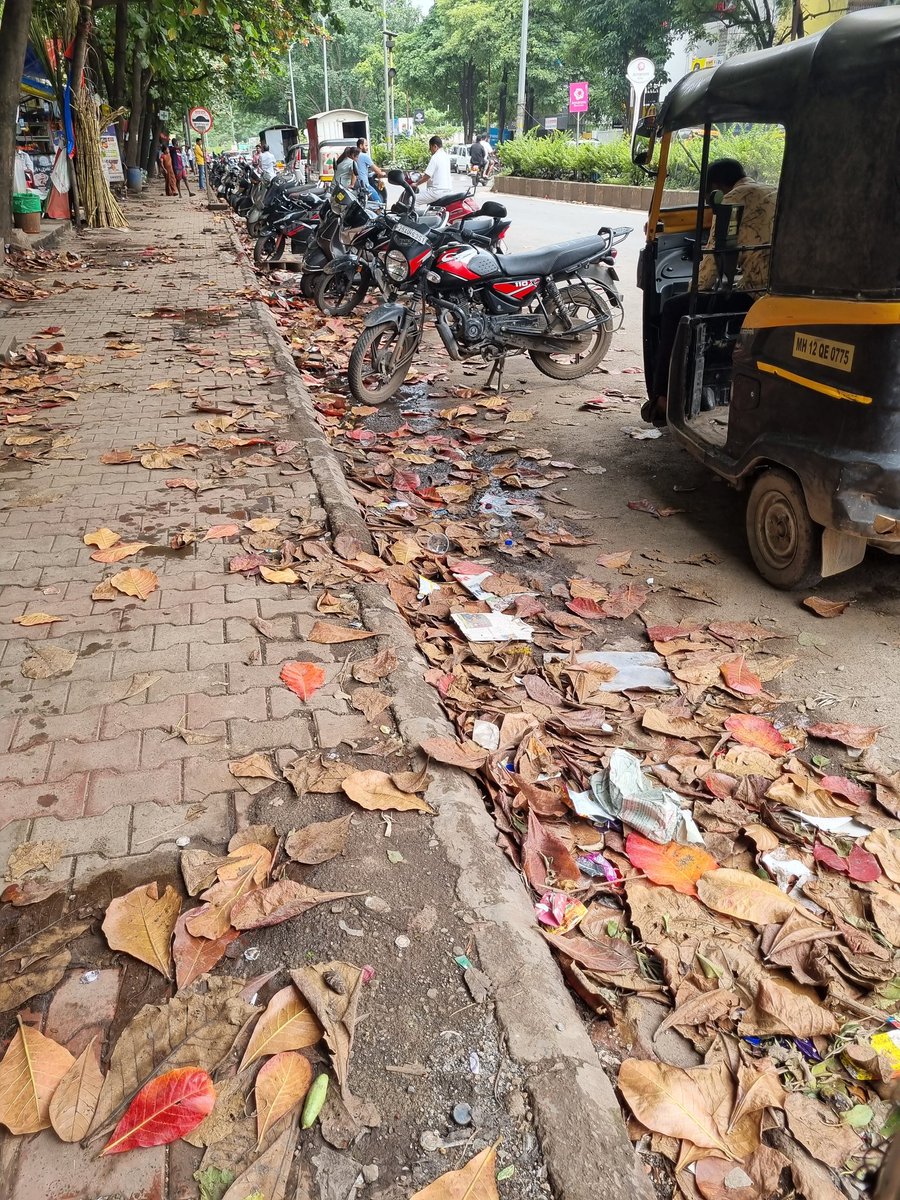 stubborn123's tweet photo. Can someone attend to ensure PM #SwatchBharat Abhiyaan does not get defeated.The Picture is from Area near to Passport Office Mundhwa.Dried leaves on top of it dengue Mosquitoes.@PMCPune @mohol_murlidhar @ChDadaPatil #haritPune #SwatchPune #SwatcchBharat https://t.co/Wqnjaumw8m