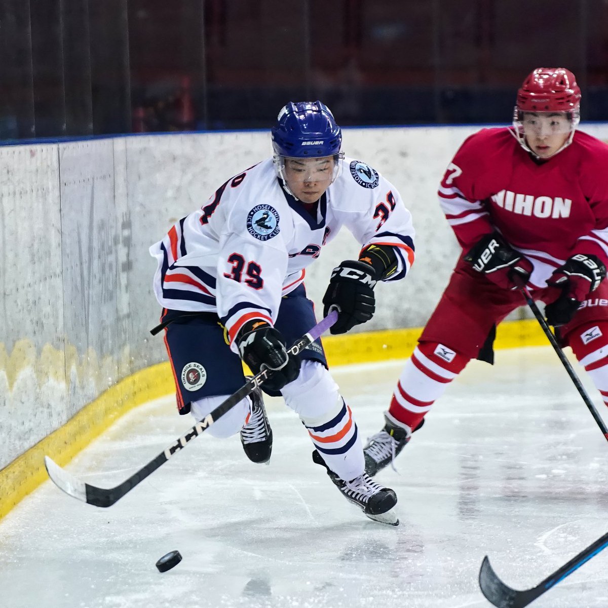 icehockeystream's tweet photo. [2023/9/3] #日本大学 1-4 #法政大学

▼
#2023年度関東大学アイスホッケーリーグ戦
#関東大学アイスホッケー
#東京都アイスホッケー連盟
#アイスホッケー #icehockey 
▼
#SonyAlpha #SonyAlpha9 #Sonyα9 #SonyA9 https://t.co/YlNp5kRrYE