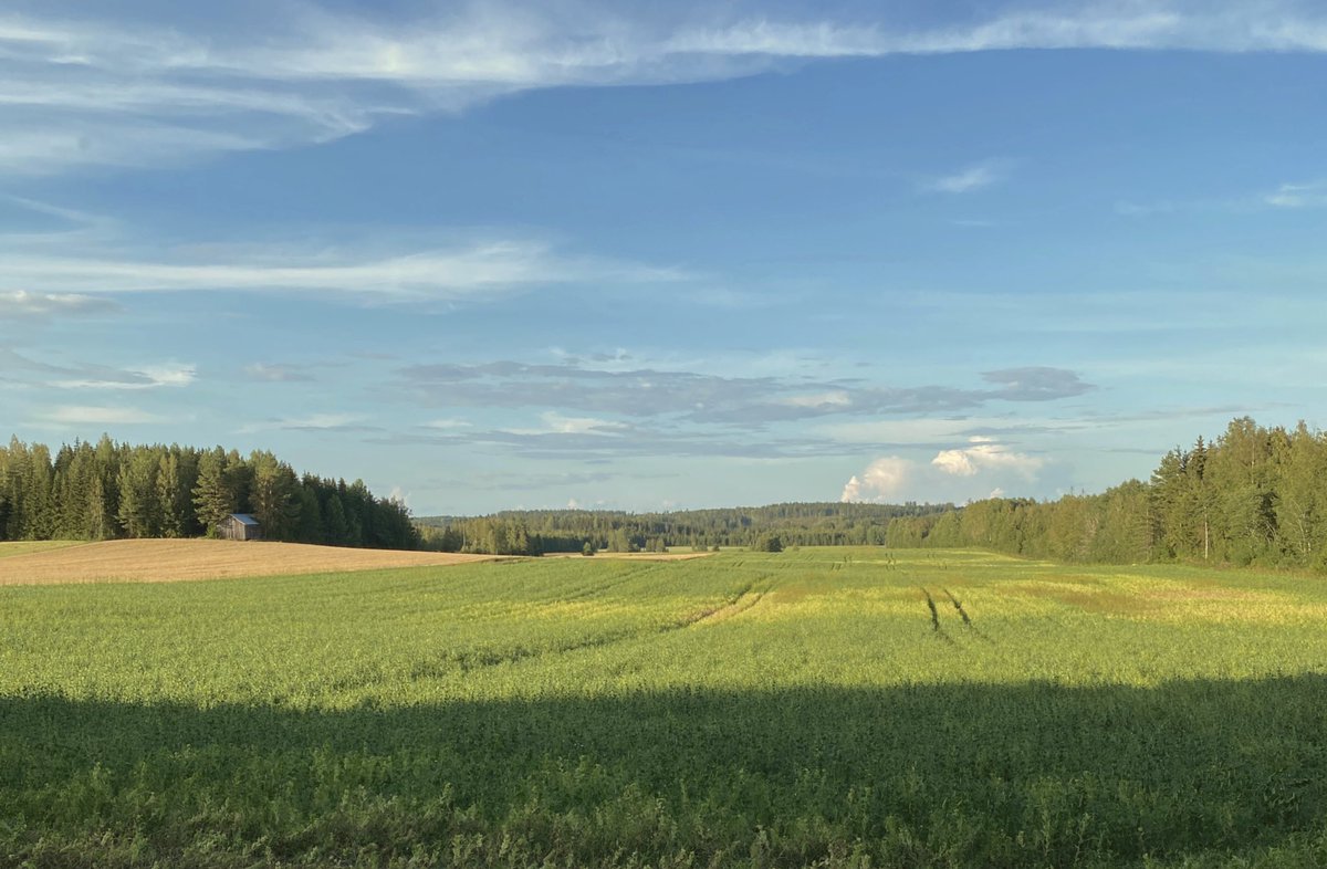 photos I took of the same field during autumn, winter, spring and summer