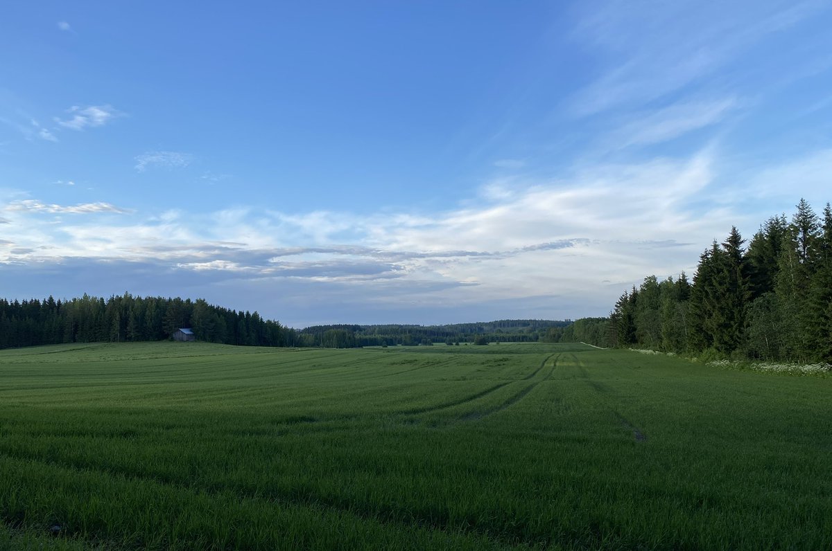 sophrisyne's tweet photo. photos I took of the same field during autumn, winter, spring and summer https://t.co/ZKwgL14xnZ