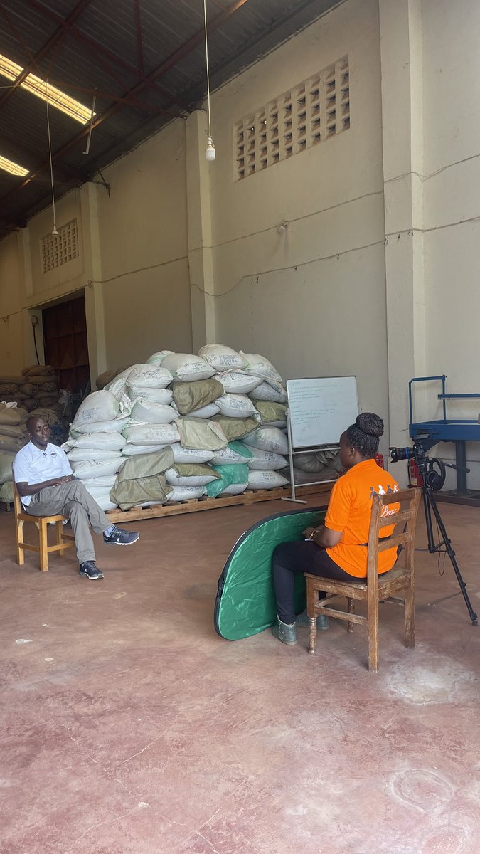 KusetDeo's tweet photo. Currently on assignment with #MountainHarvest, exploring coffee production in the slopes of #MountainElgon. Witnessing the incredible collaboration btn #MountainHarvest and local farmers to boost coffee production. #CoffeeFarming #SustainableAgriculture @mtnharvestug @KBarigye https://t.co/JzS9yUNgoM