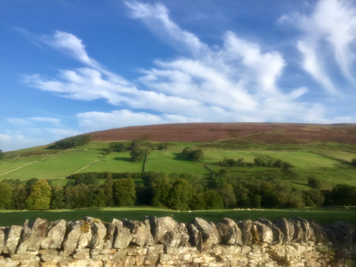 just_sev's tweet photo. What a morning to be out on two wheels 🚴🏼‍♂️💨 #pedalpower https://t.co/DTZdqUOBu0