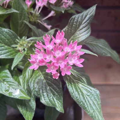 kimuraJun863411's tweet photo. #新しいプロフィール画像 https://t.co/pXxctMSSXe