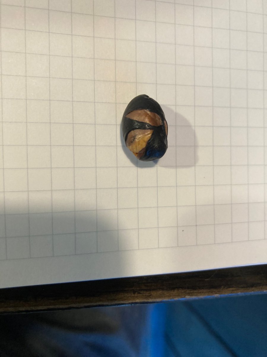 learncode10's tweet image. 変態仮面みたいなやつもいた。