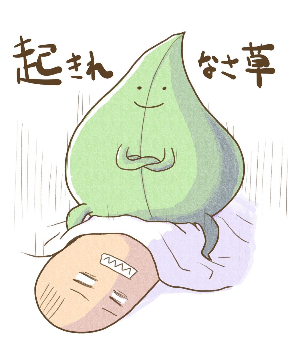 #草の日 
草ァwwwww 