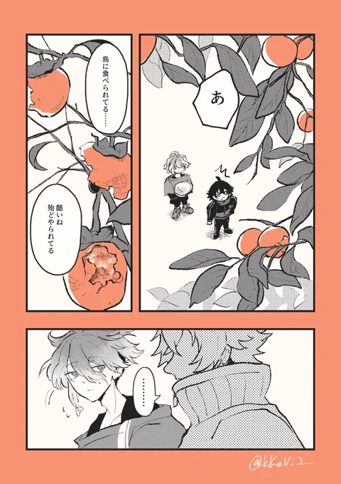 最近柿が色づきはじめているのを見かけるのでちょっと季節先取りの秋の小話です🍂 