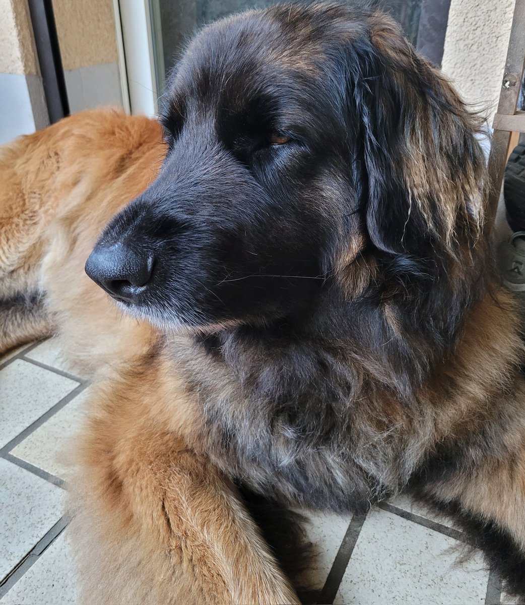 Es ist unglaublich! Diese junge Dame war nur knapp 24 Stunden zu Gast. Aber sie hat so unendlich gut getan!