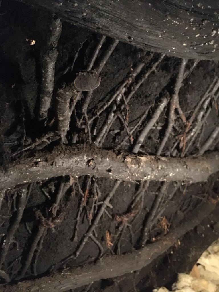 thatchertaggart's tweet image. "Thatching Services = Carpenter to an English Thatcher who ripped off Ancient Irish Bog Oak #Scraw roof structure &amp;amp; replaced with modern timber no heritage thatched roof, all paid for by @CommunitiesNI #HEDNI &amp;amp; buildingsofireland.ie advertising him as a #thatcher @NIAH_Ireland