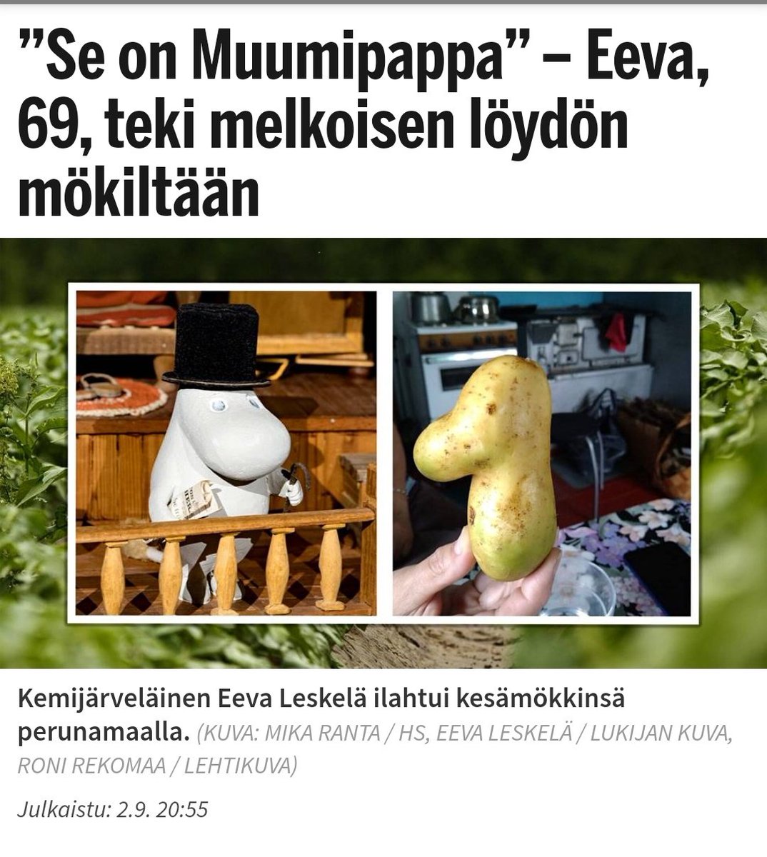SocialistPossum's tweet photo. Suomalainen toimittaja kun kansanedustaja levittää netissä vaarallisia valheita vähemmistöistä: 😴💤😴🛌🛌🛌

Suomalainen toimittaja kun peruna on vähän muumi: https://t.co/2D6cSLiyEe