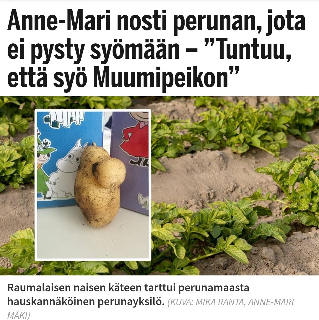 SocialistPossum's tweet photo. Suomalainen toimittaja kun kansanedustaja levittää netissä vaarallisia valheita vähemmistöistä: 😴💤😴🛌🛌🛌

Suomalainen toimittaja kun peruna on vähän muumi: https://t.co/2D6cSLiyEe