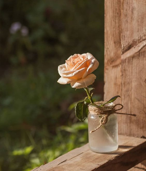 사랑은 사람들을 치료한다. 사랑을 받는 사람, 사랑을 주는 사람 할 것이 없이.  - 메닝거