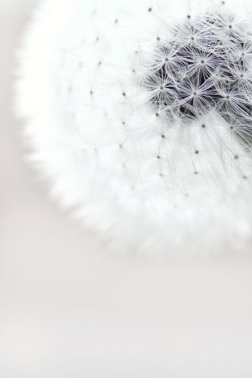 희수얌 tweet media