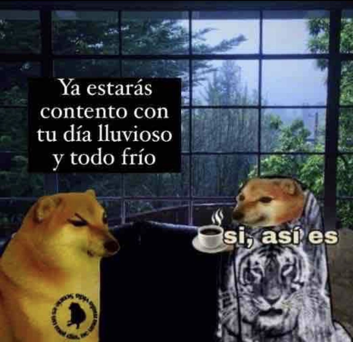 CajasRetro's tweet photo. Por fin un día con un poco de lluvia y una temperatura aceptable! así estoy https://t.co/0TdFiPj81y
