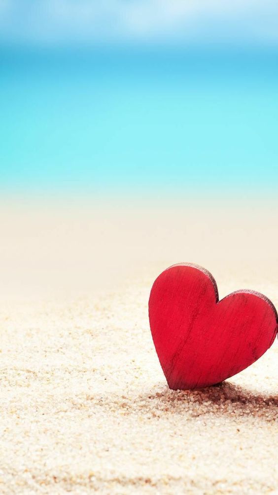 희수얌 tweet media