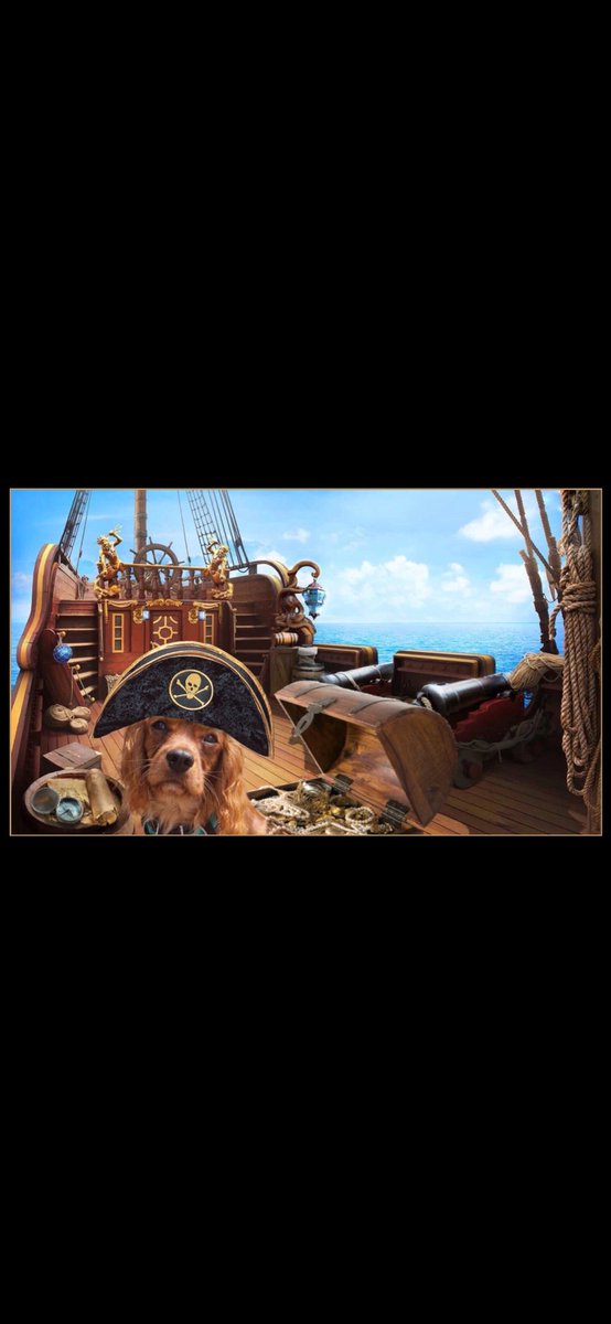 Ahoy der me old mateys, I is ready for Pirates month. Got to make sure da High seas are zom free. Shiver me timbers Raaaaa #ZSHQ #Pirates #zombiesquad #sundayvibes