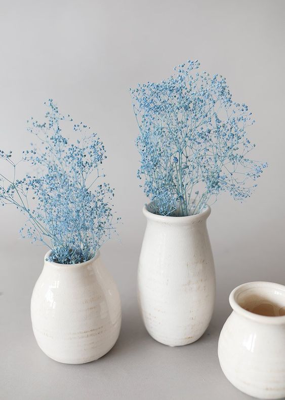 희수얌 tweet media