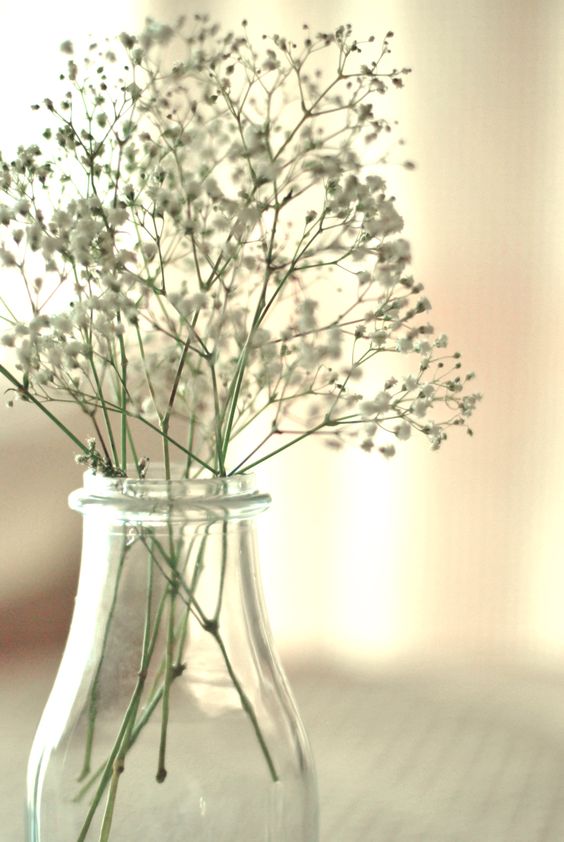 희수얌 tweet media