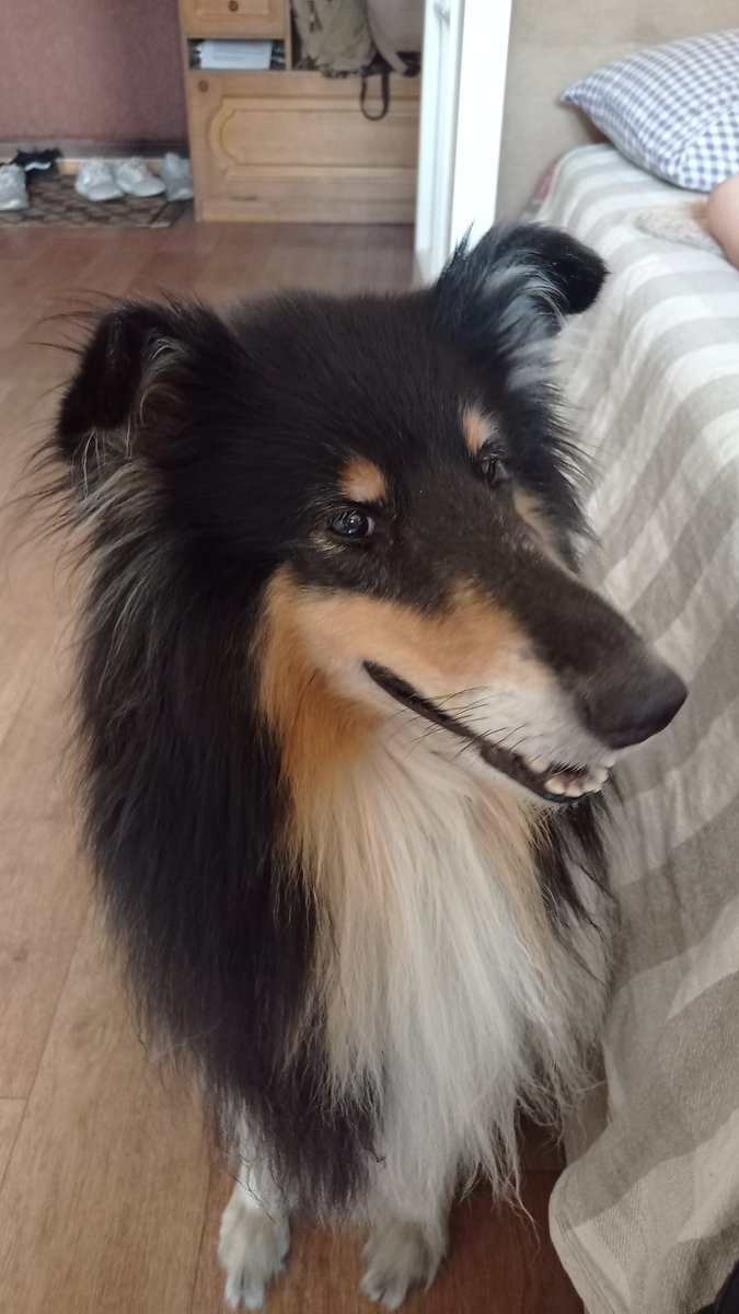 Орбитальный Пивоносец Сизый Нос (@_ir4i_) on Twitter photo 