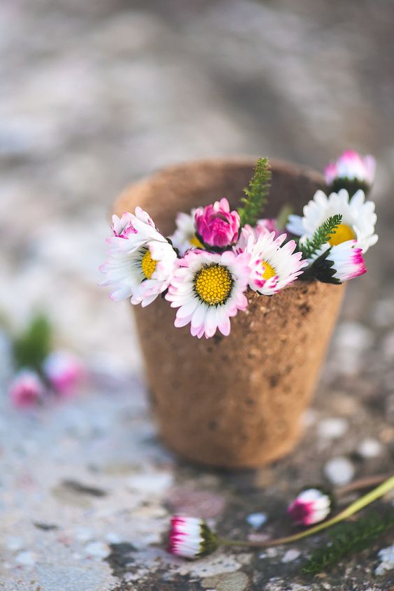 자기가 가고 있는 곳을 모르는 사람은 결코 높이 향상하지 못한다. - 크롬웰
