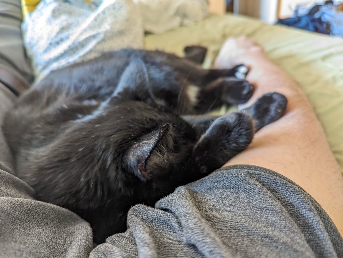 John Bull tweet media