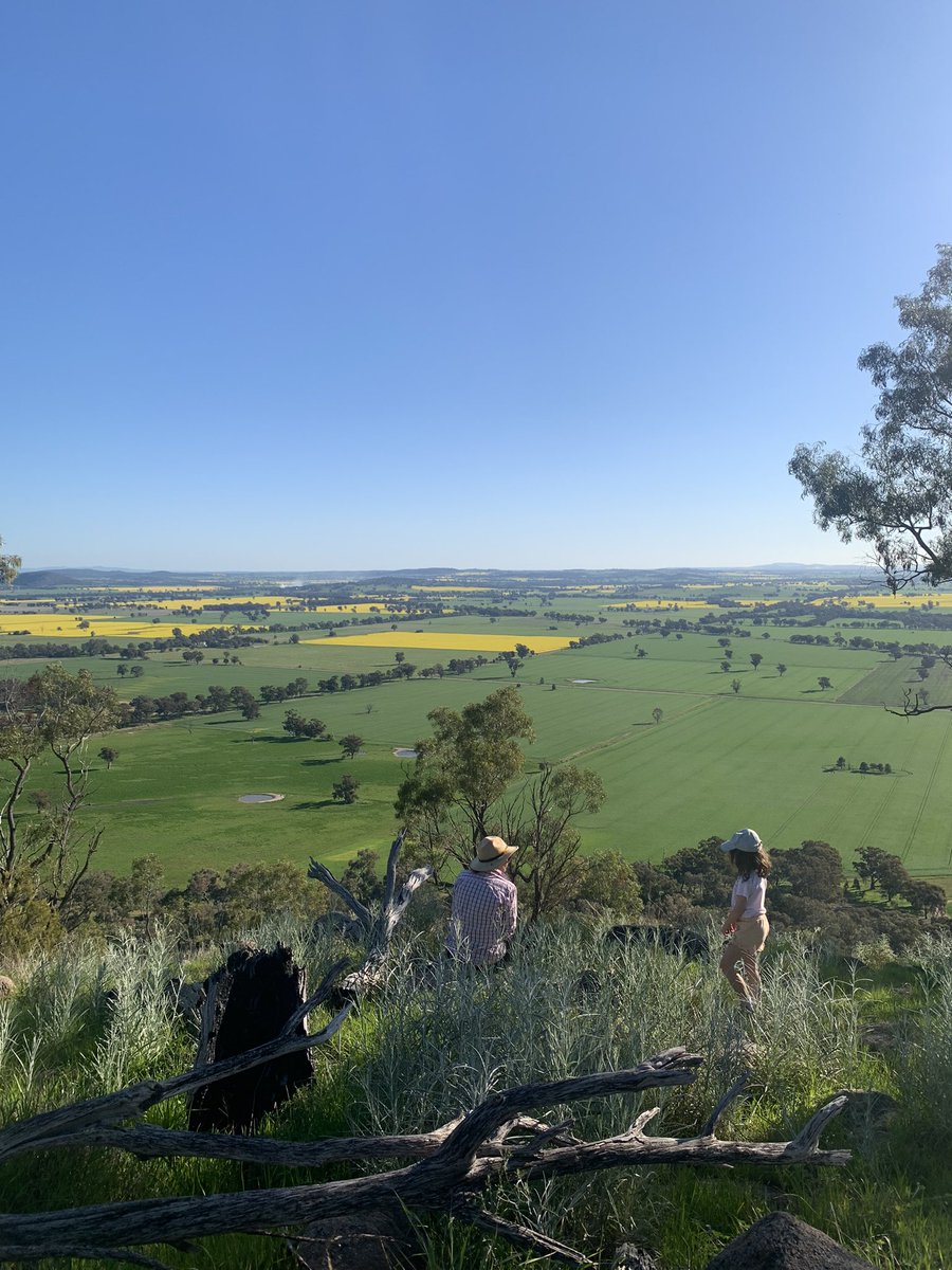 Nev Reilly tweet media