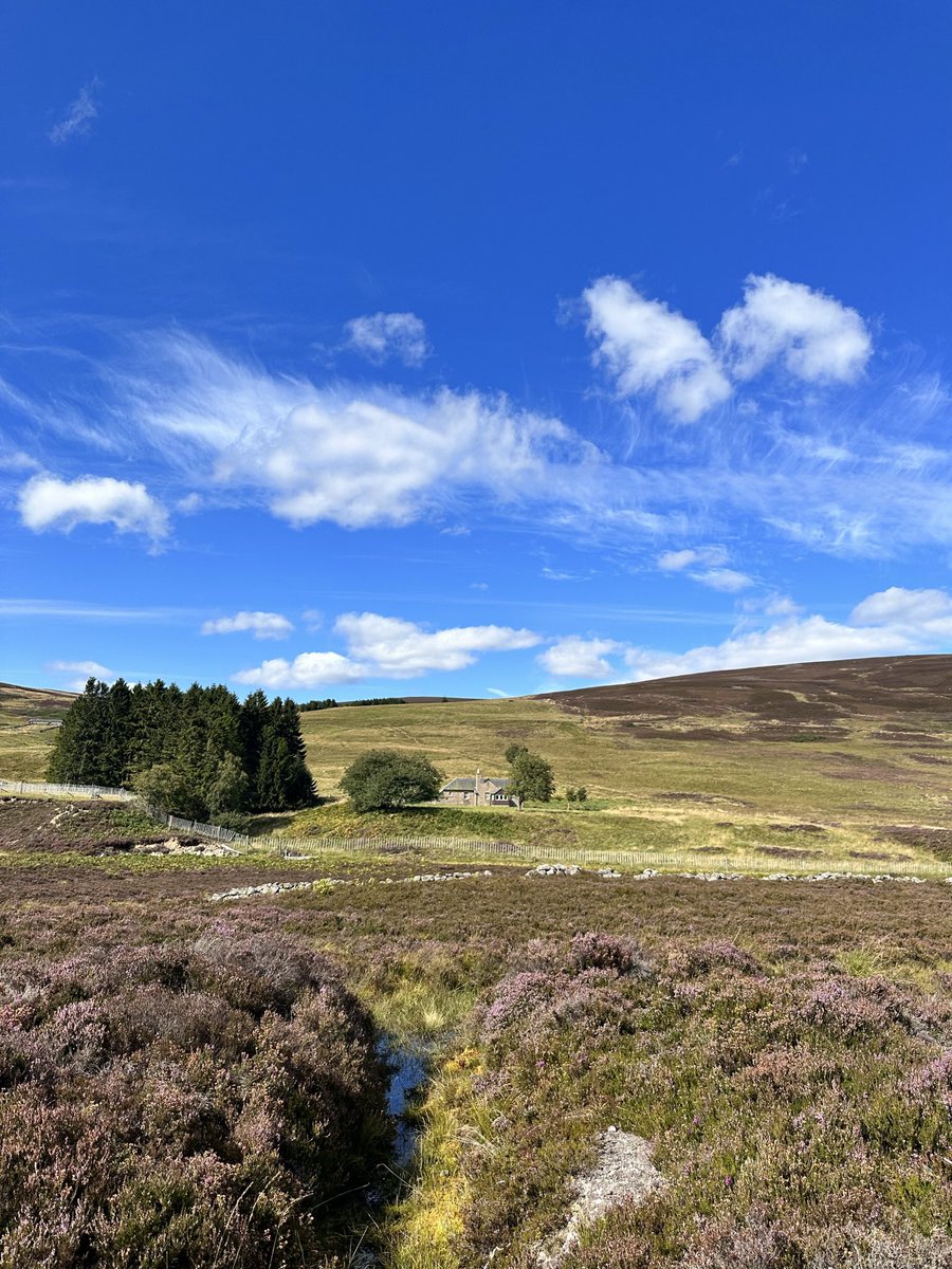 DMK_17's tweet photo. Brilliant day yesterday raising funds for @AberdeenMRT on the Glen Tanar Estate. Well organised events and what amazing weather 😎 Here’s to next year. #support #scottishmountainrescue #fundraising https://t.co/m90KaZJSg3