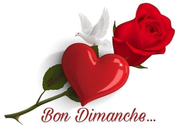 Mamata_T's tweet photo. Je t'aime chéri 💋💗 https://t.co/Tu41fVENkQ