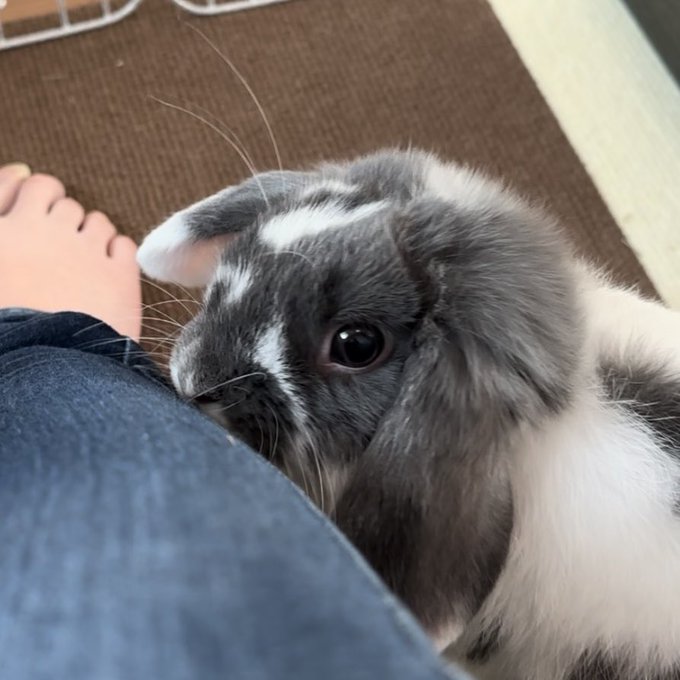 は美味しくないですよ 
