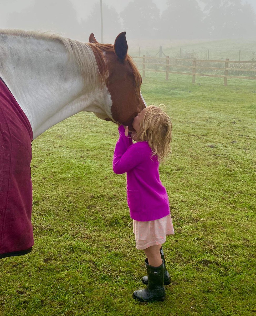 Misty morning ❤️