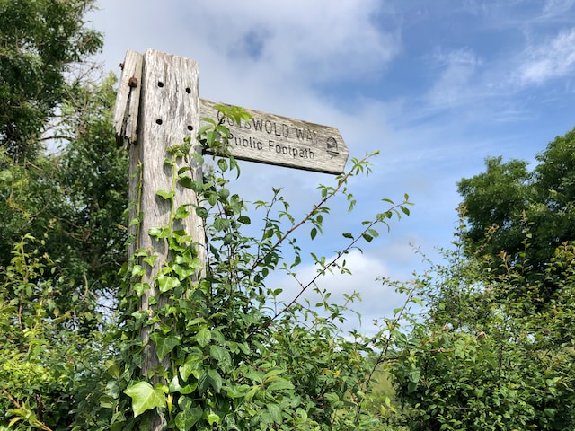 Heatherika1's tweet photo. Beautiful Cotswolds scenery... countless fascinating books! 📚Join us on Saturday 30th September at https://t.co/SssfWEsntk - tickets on sale now! 
@HULitFest @jwritebristol https://t.co/hCsHkbrKmB