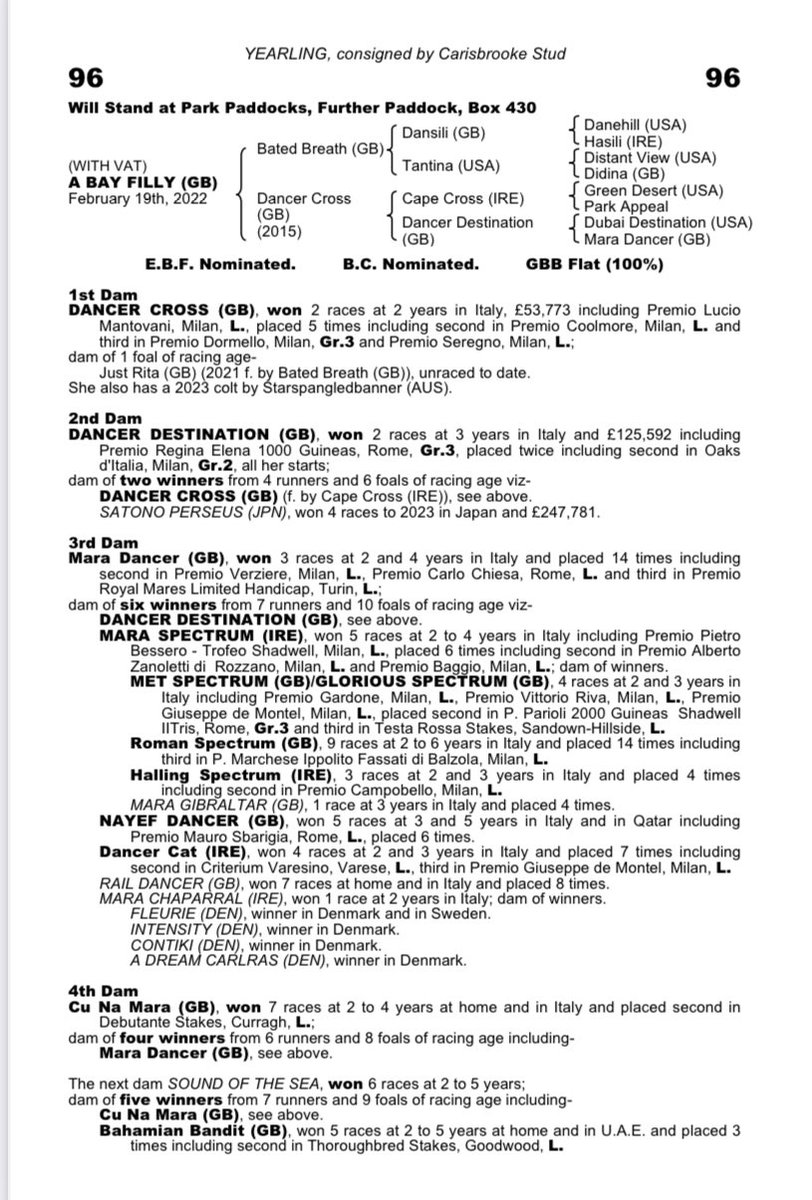 Carisbrooke Stud tweet media