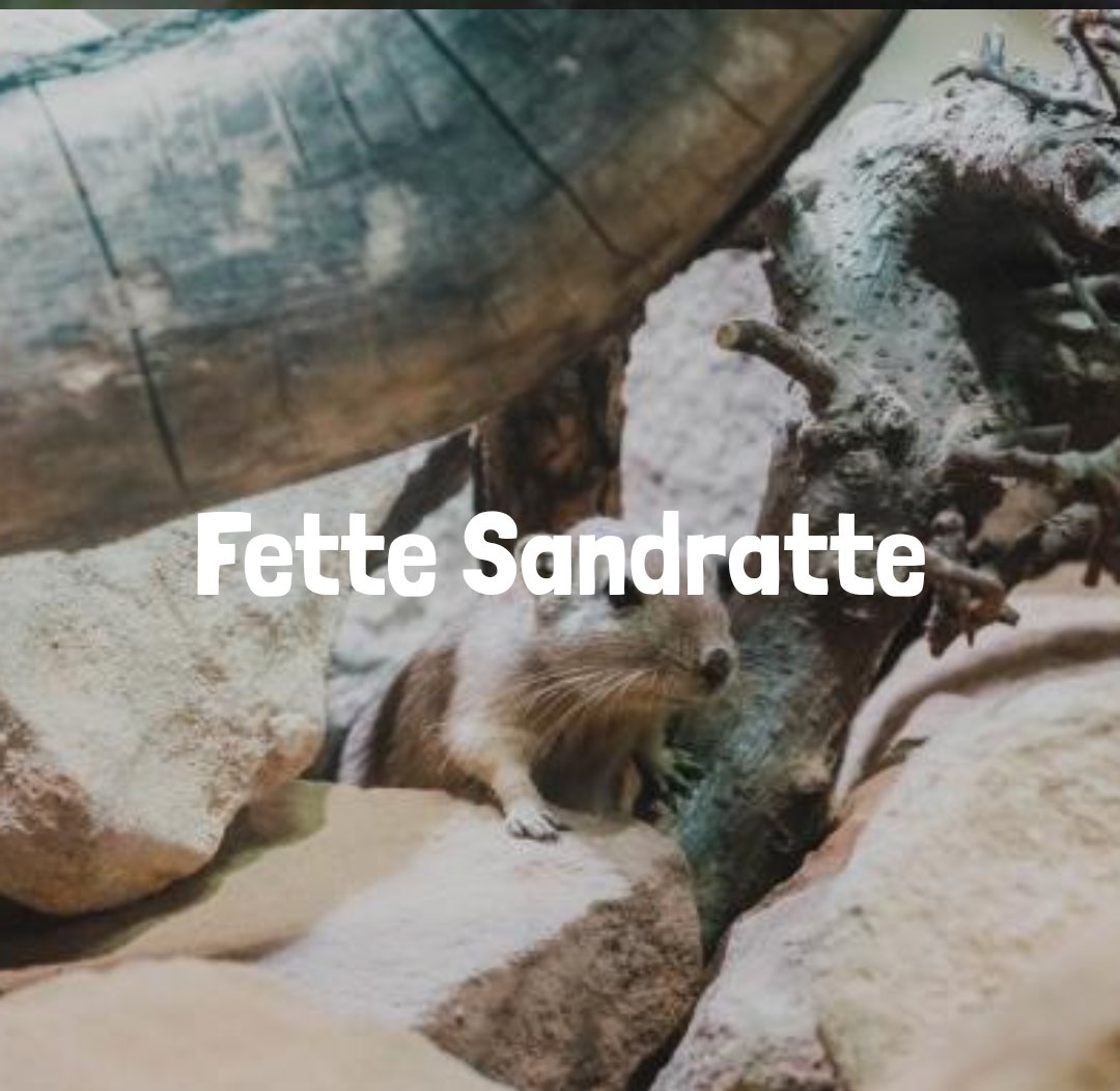 junk_ntunk's tweet photo. Junge warum macht der Tierpark so mit dem armen Tier auf der Website https://t.co/xV4ptWH8ob